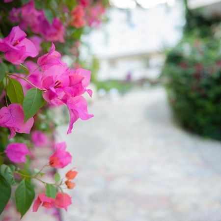 Bougainville Bay Apartments Саранда Экстерьер фото