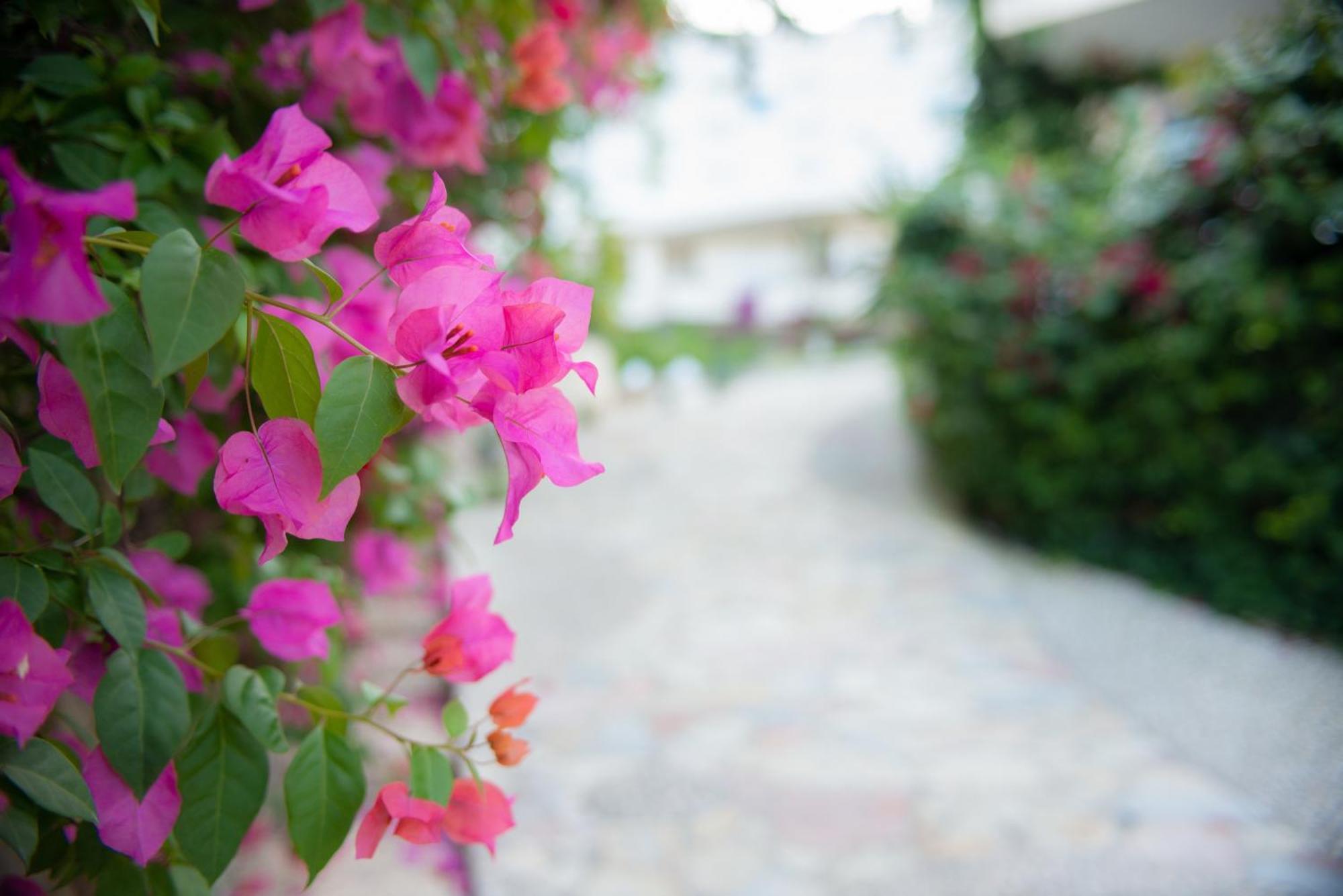 Bougainville Bay Apartments Саранда Экстерьер фото